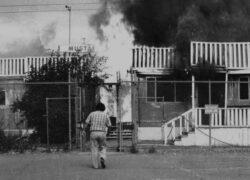 Mustang Ranches - The Conforte Underworld