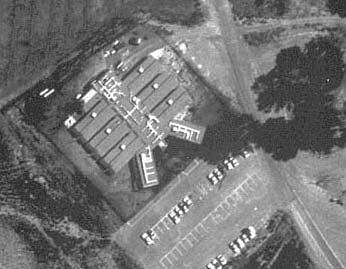 Mustang Ranches - The Conforte Underworld